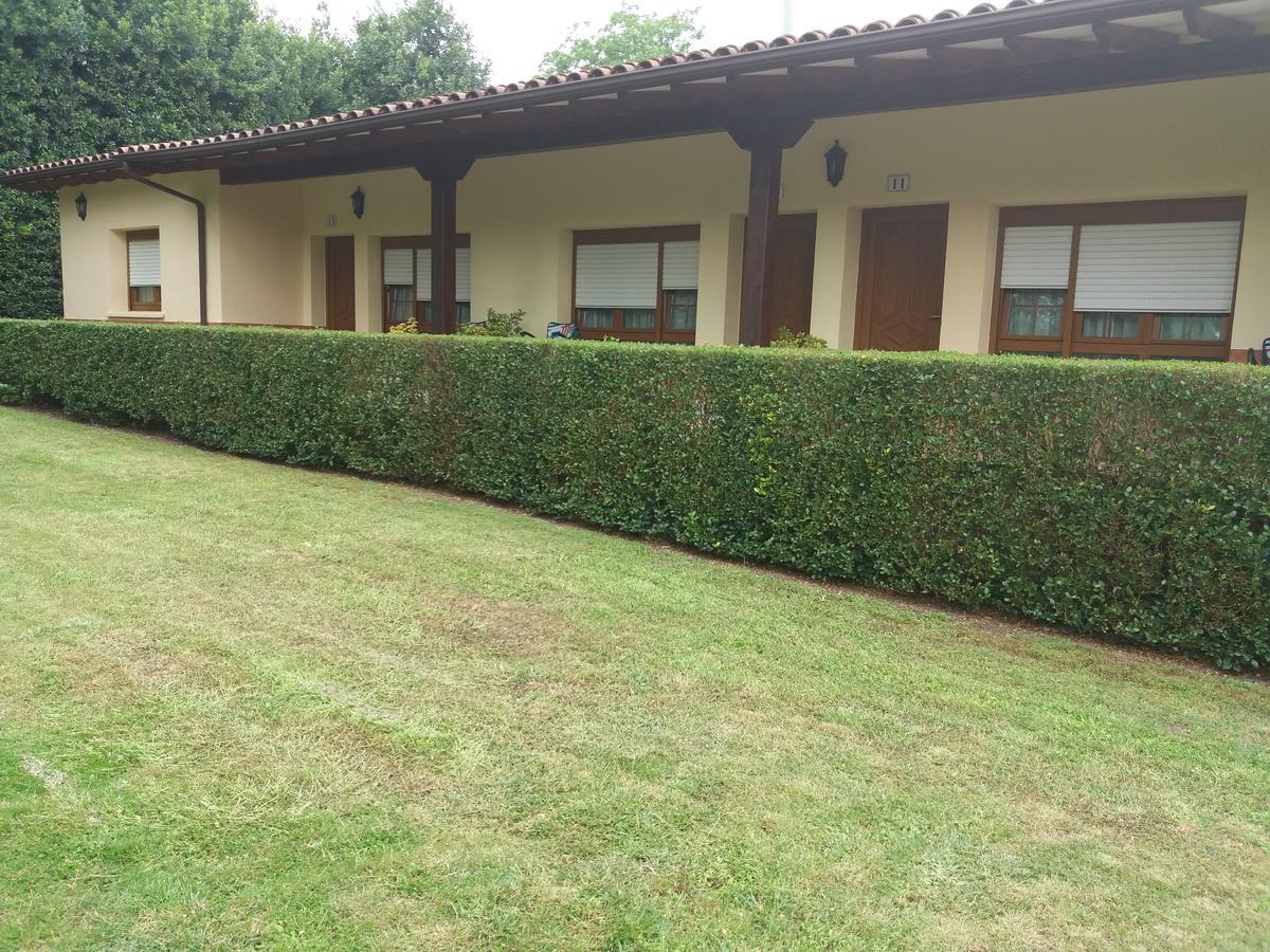 Apartamentos El Cazador San Vicente de Toranzo Buitenkant foto